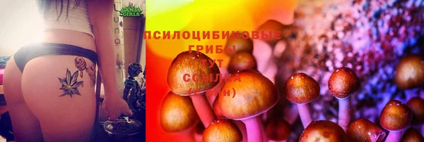 прущая мука Абаза