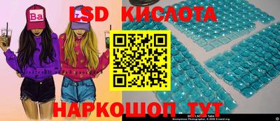 гашик Кандалакша