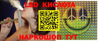 гашик Кандалакша