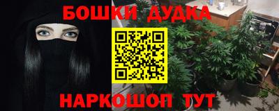 гашик Кандалакша