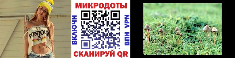Псилоцибиновые грибы Psilocybe  Истра 