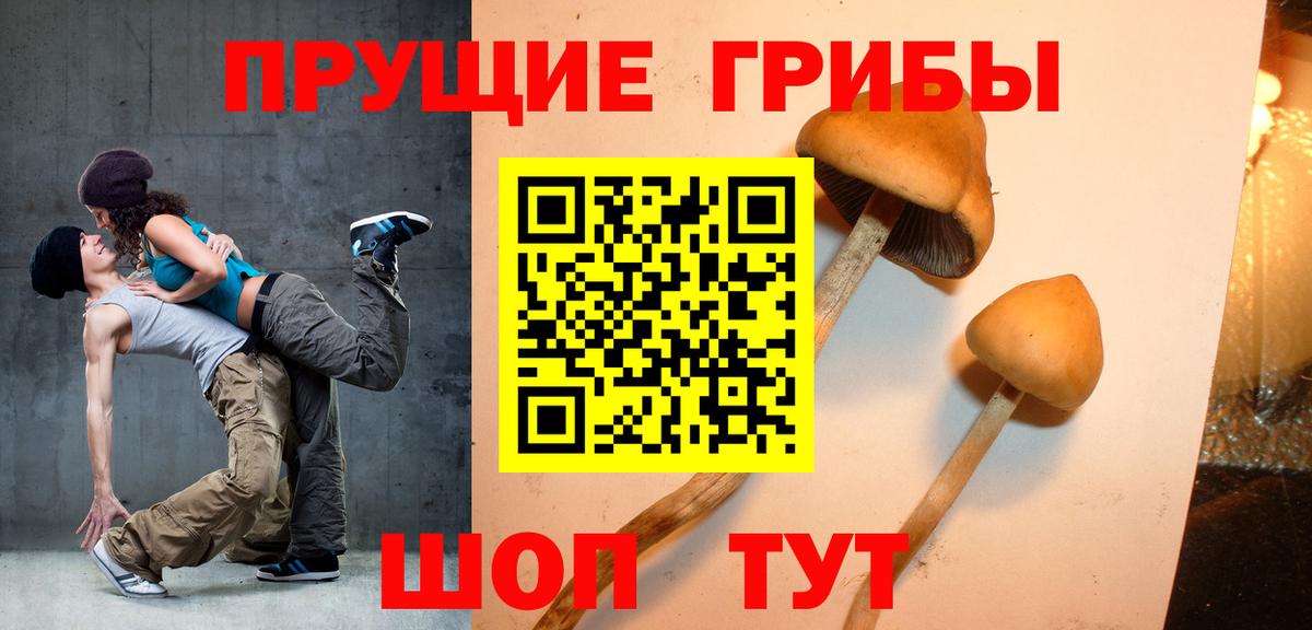 Псилоцибиновые грибы мухоморы  магазин  наркотиков  Истра  Вход с VPN 